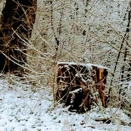 Feriehus Ferienhaus Gemuend Schleiden