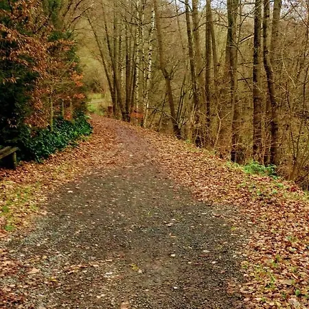 Ferienhaus Gemuend Schleiden