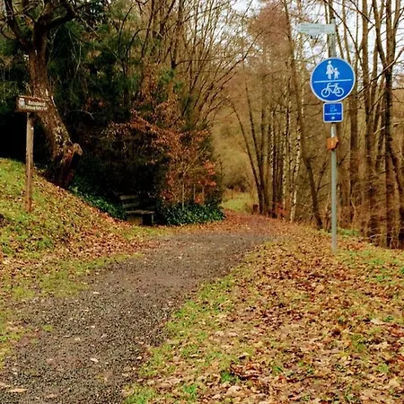 Ferienhaus Gemuend Schleiden