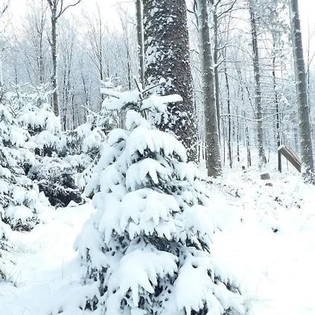 Ferienhaus Gemuend Σπίτι διακοπών Schleiden