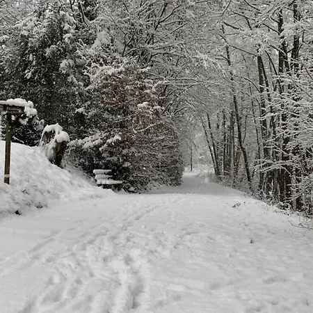 Ferienhaus Gemuend Σπίτι διακοπών