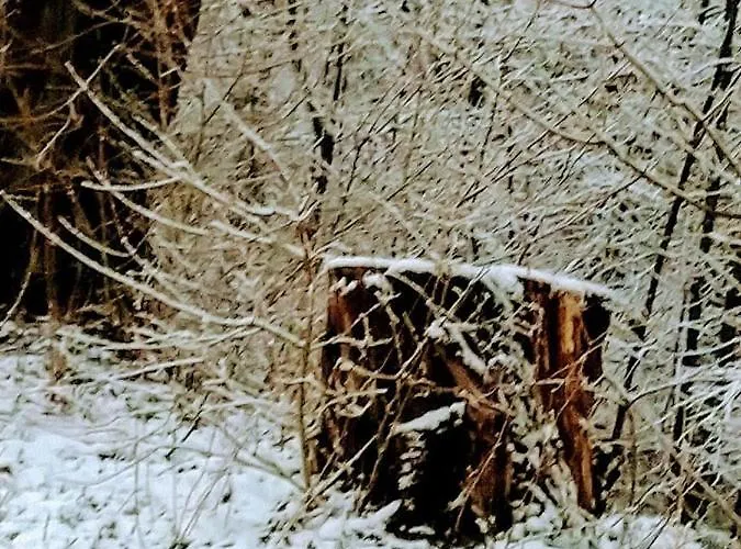 Tatil Evi Ferienhaus Gemuend Schleiden
