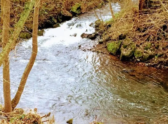 Ferienhaus Gemuend Tatil Evi Schleiden