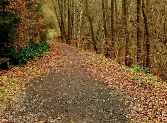 Ferienhaus Gemuend Schleiden