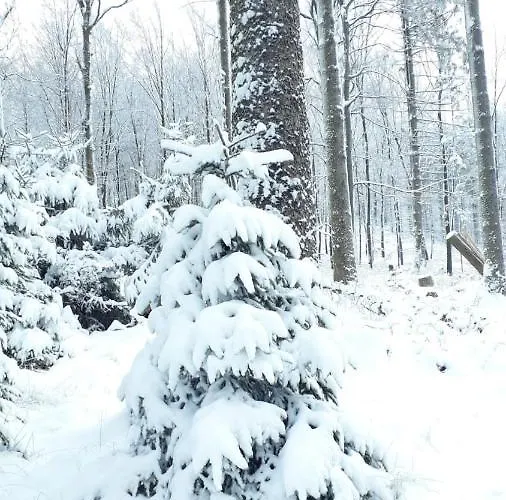 Ferienhaus Gemuend Дом отдыха Шляйден
