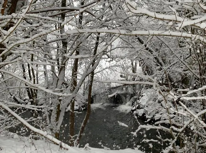 Дом отдыха Ferienhaus Gemuend Шляйден